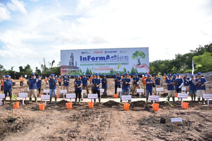 Investing in Farming and Forest for Climate Action (InFormAction) PKT  tanam ratusan pohon