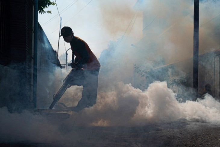 During 2022, the Madiun City Health Bureau recorded 209 cases of dengue fever