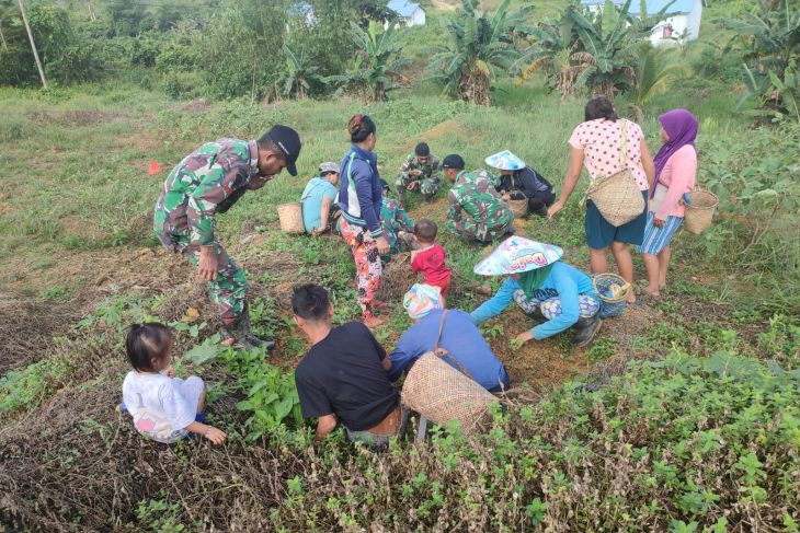 Satgas Pamtas bantu warga berkebun sayur untuk ketahanan pangan