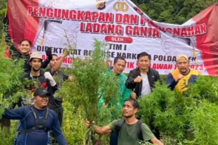 Polda Aceh musnahkan 10 ton ganja di pegunungan Aceh Besar