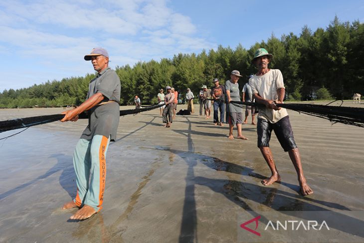 FOTO - Tangkapan nelayan pukat darat di Aceh turun