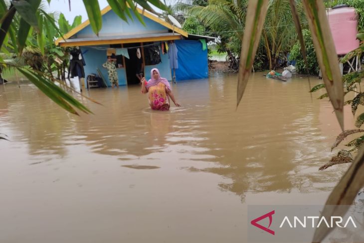 Empat wilayah di Tapin dilanda banjir