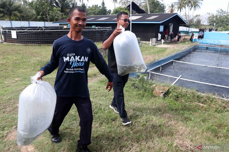 FOTO - Upaya Pemenuhan Target Produksi Perikanan Budi daya