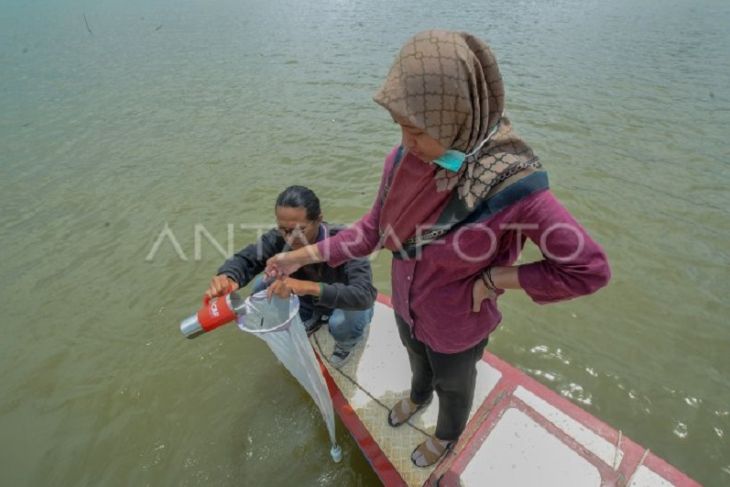 Pengujian kualitas air danau di Jambi