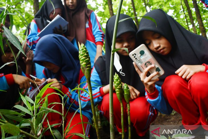 Penerapan Kurikulum Merdeka di Hutan Madiun