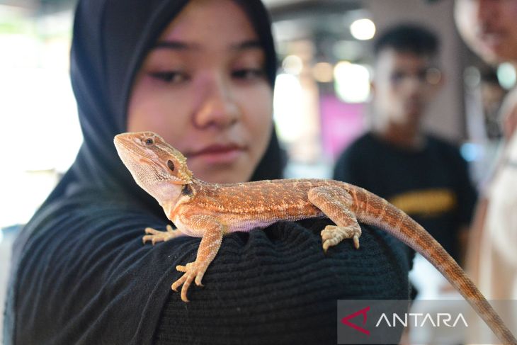 FOTO - Aceh Pets Festival