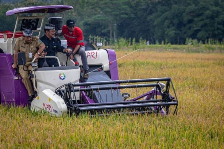 Menteri Pertanian panen raya padi di Kabupaten Semarang