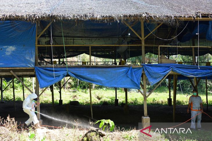 FOTO - Pencegahan flu burung di Aceh Besar