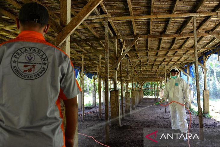 FOTO - Pencegahan flu burung di Aceh Besar