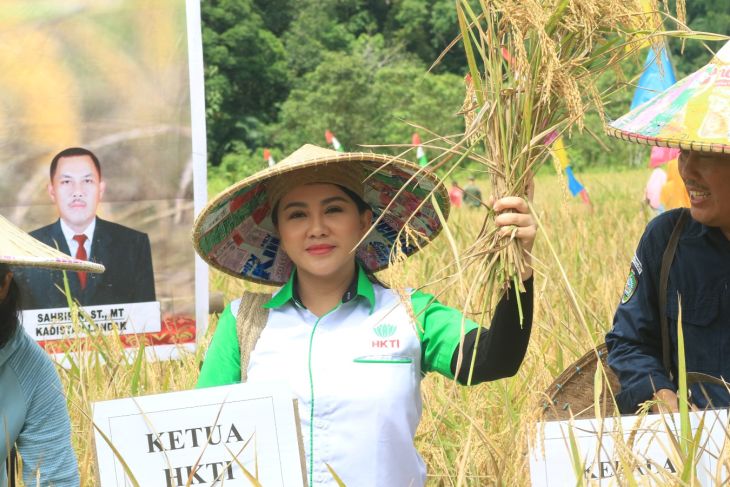 Karolin dorong pemda maksimalkan pembinaan untuk petani