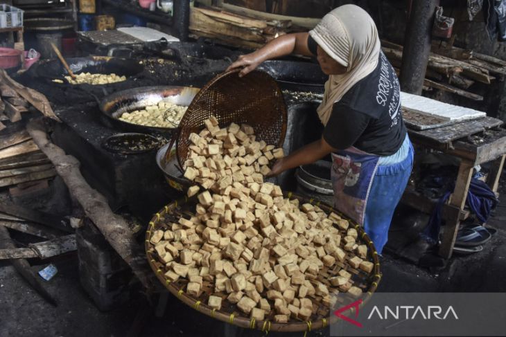 Impor kedelai untuk produsen tahu tempe 