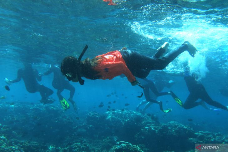 Pesona bawah laut Olele pukau wisatawan mancanegara