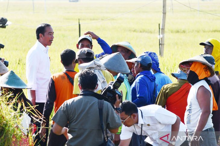 Kunjungan Presiden Joko Widodo di Ngawi