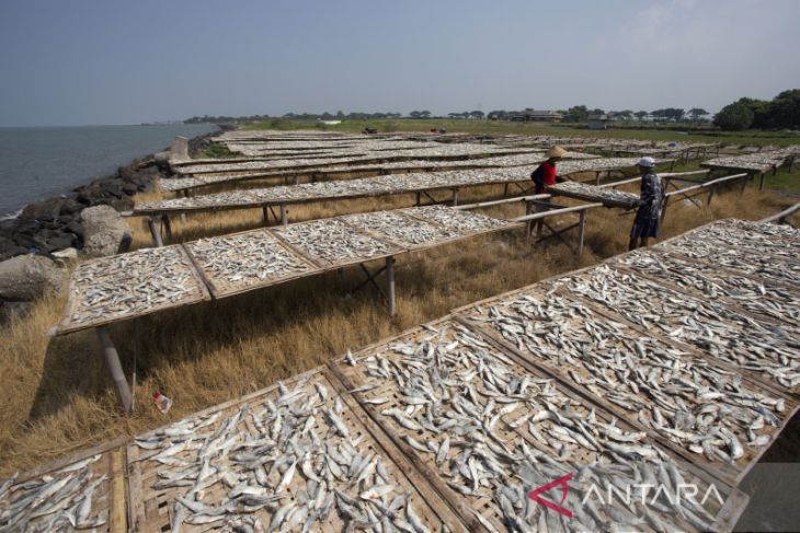 Produksi ikan asin meningkat