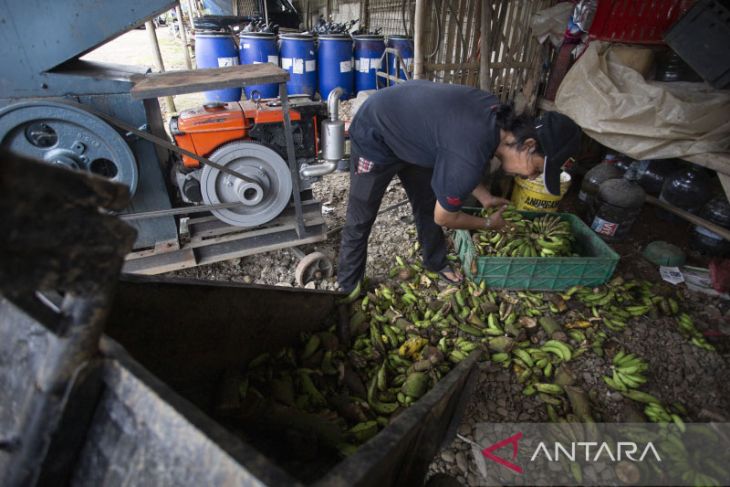 Pengolahan sampah pasar 