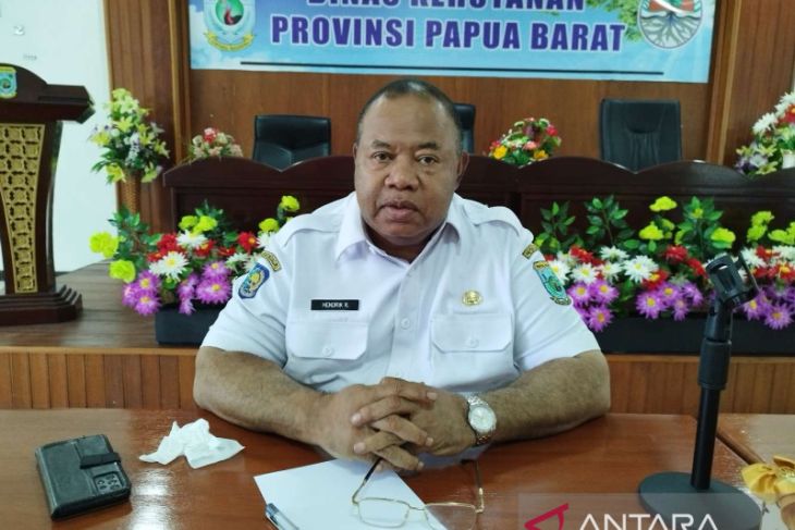 Dishut Papua Barat segera serahkan aset kehutanan ke Pemprov PBD