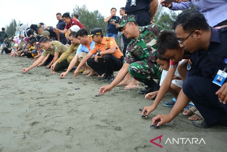 Pelepasan tukik lekang di Aceh Besar