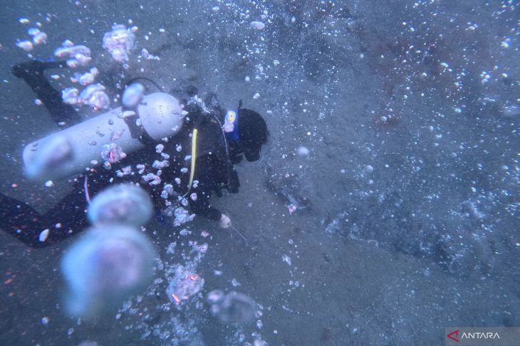 FOTO - Gunung Api Bawah Laut Sabang