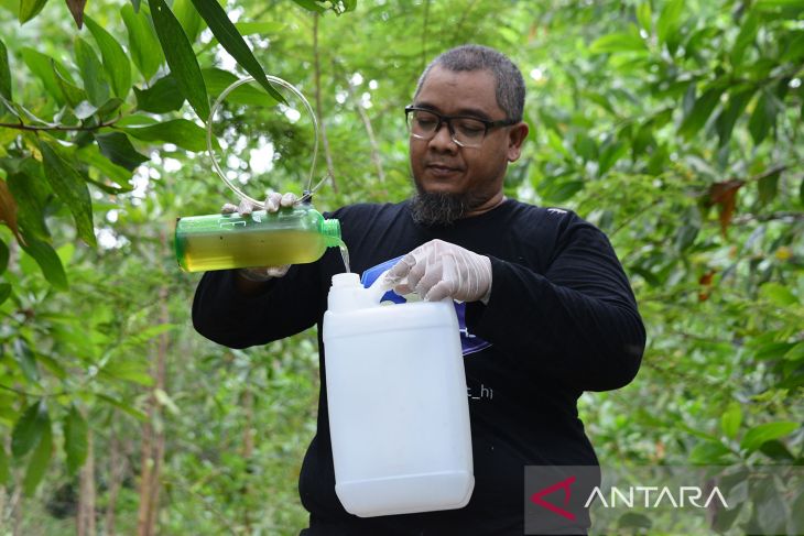 Panen madu kelulut di hutan Aceh Besar