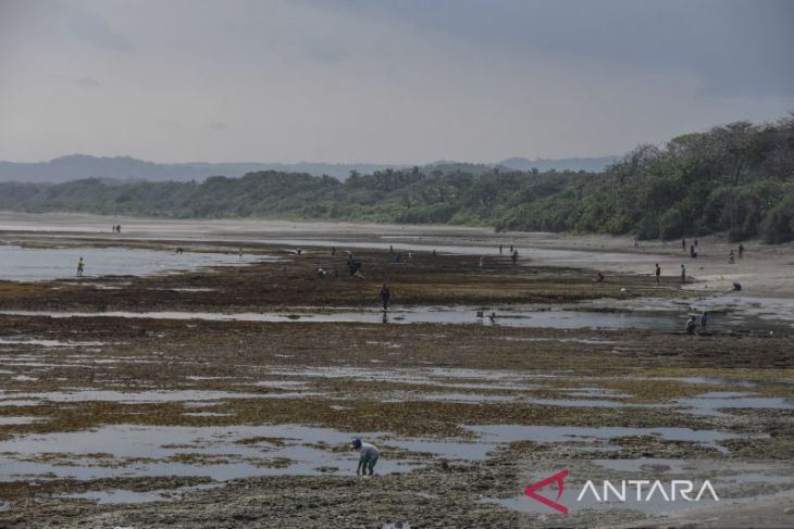 Pantai Sindangkerta di Tasikmalaya 