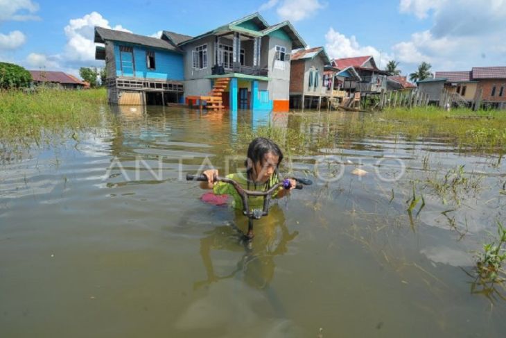 Banjir luapan sungai Batanghari di Jambi