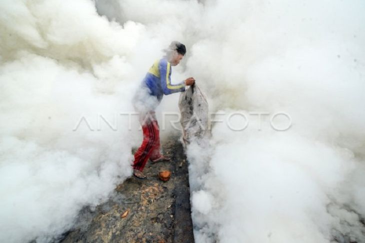 Permintaan arang batok meningkat