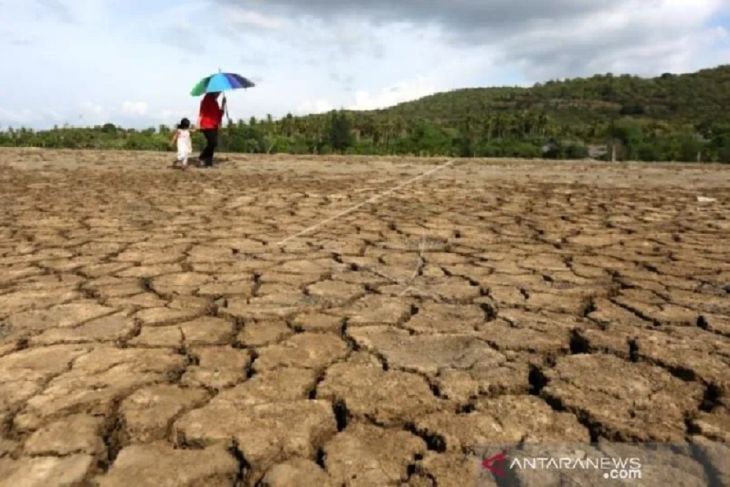 Eight percent of Indonesian regions enter dry season