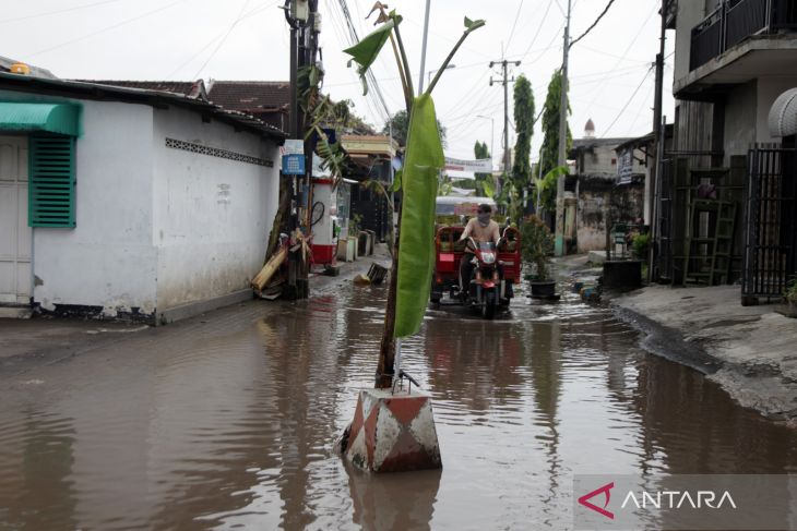 Aksi tanam pohon pisang di Sidoarjo