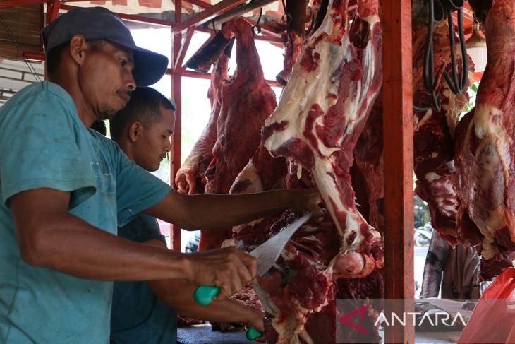 FOTO - Harga daging jelang tradisi meugang Idul Fitri