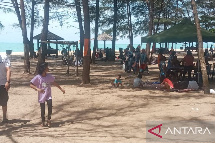 Pantai Tikus Emas Bangka Mulai Dikunjungi Wisatawan Antara News