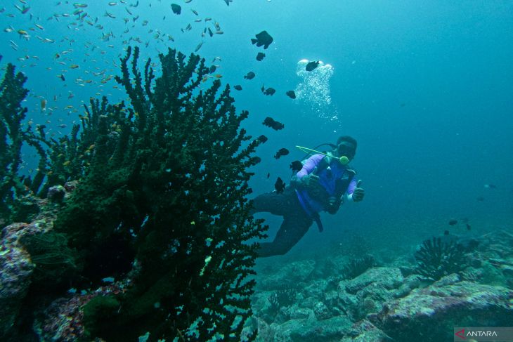 Wisata Bawah Laut Sabang