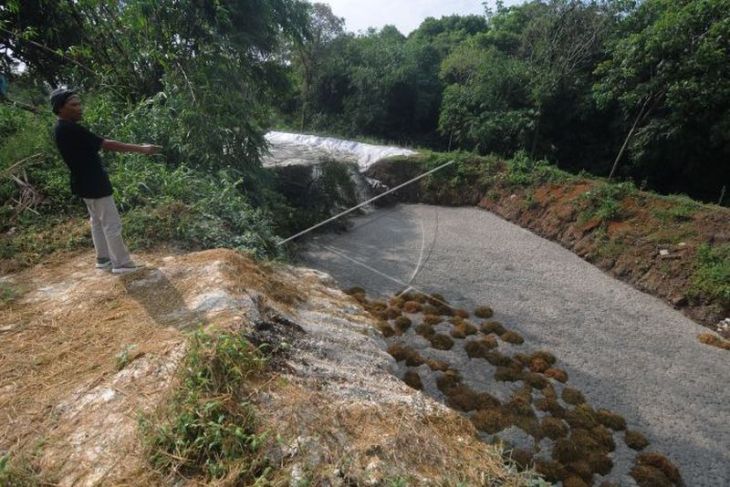 Limbah peternakan ayam