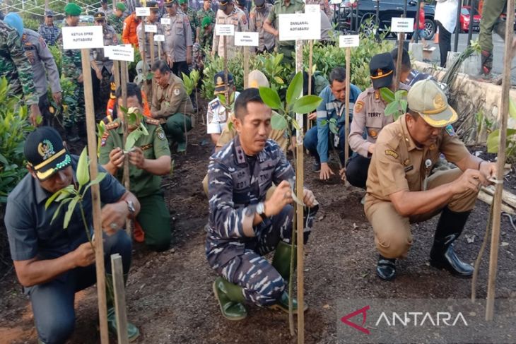 Jaga pesisir dari abrasi, Ketua DPRD dukung penanaman mangrove