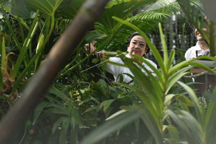 Peresmian rumah kaca Anggrek di Kebun Raya Bogor