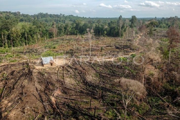 Ladang ilegal dalam kawasan penyangga taman nasional