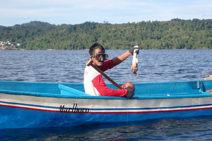 Sinergi pemerintah dan masyarakat dalam menjaga keanekaragaman hayati berkelanjutan