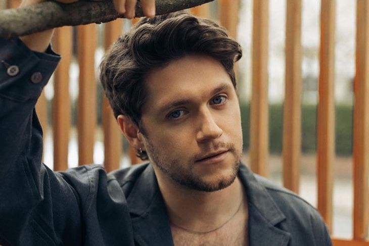 Niall Horan mengenang persahabatannya dengan Liam Payne