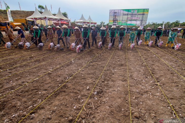 Penanaman Serentak Program I'M Jagong Pangdam IM di Aceh