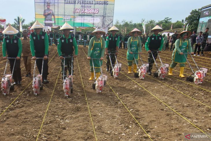 Penanaman Serentak Program I'M Jagong Pangdam IM di Aceh