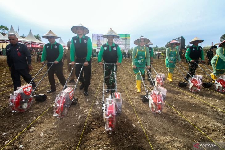 Penanaman Serentak Program I'M Jagong Pangdam IM di Aceh