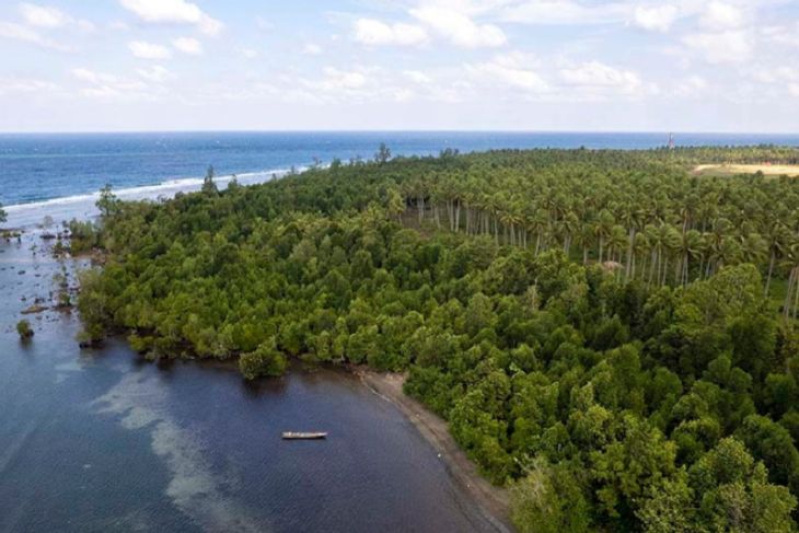 KKP minta Harita Nickel lanjutkan rehabilitasi ekosistem pesisir Maluku Utara