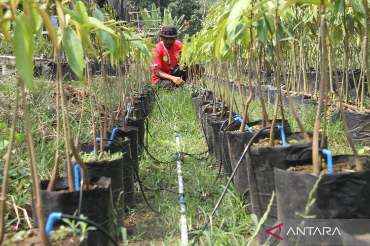 Penerapan Smart Farming Di Jombang