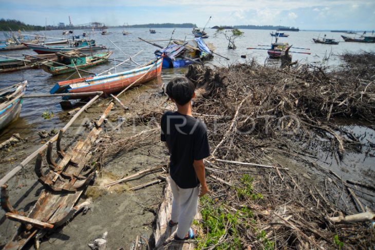 Kawasan Mangrove Rusak di Bengkulu