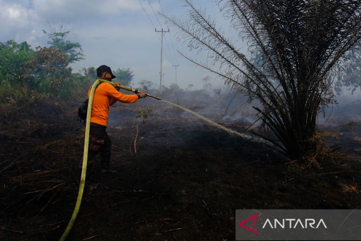 Kebakaran lahan gambut di Kubu Raya