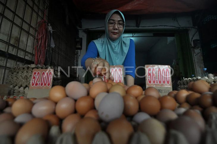 Harga telur di Bengkulu naik