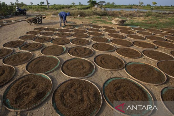 Produksi pakan ikan secara mandiri