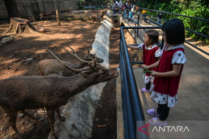 Sengketa kepemilikan lahan kebun binatang Bandung