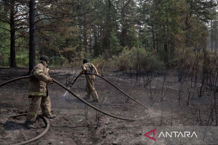 Sekitar 43 ribu hektar hutan Kazakhstan terbakar
