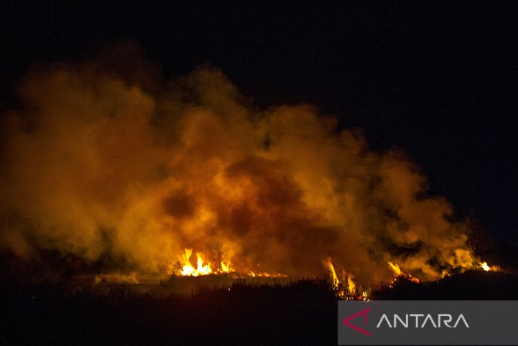 Karhutla Landa Ring Satu Area Bandara Syamsudin Noor