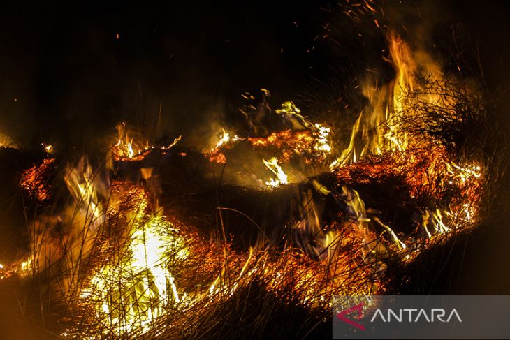 Karhutla Landa Ring Satu Area Bandara Syamsudin Noor